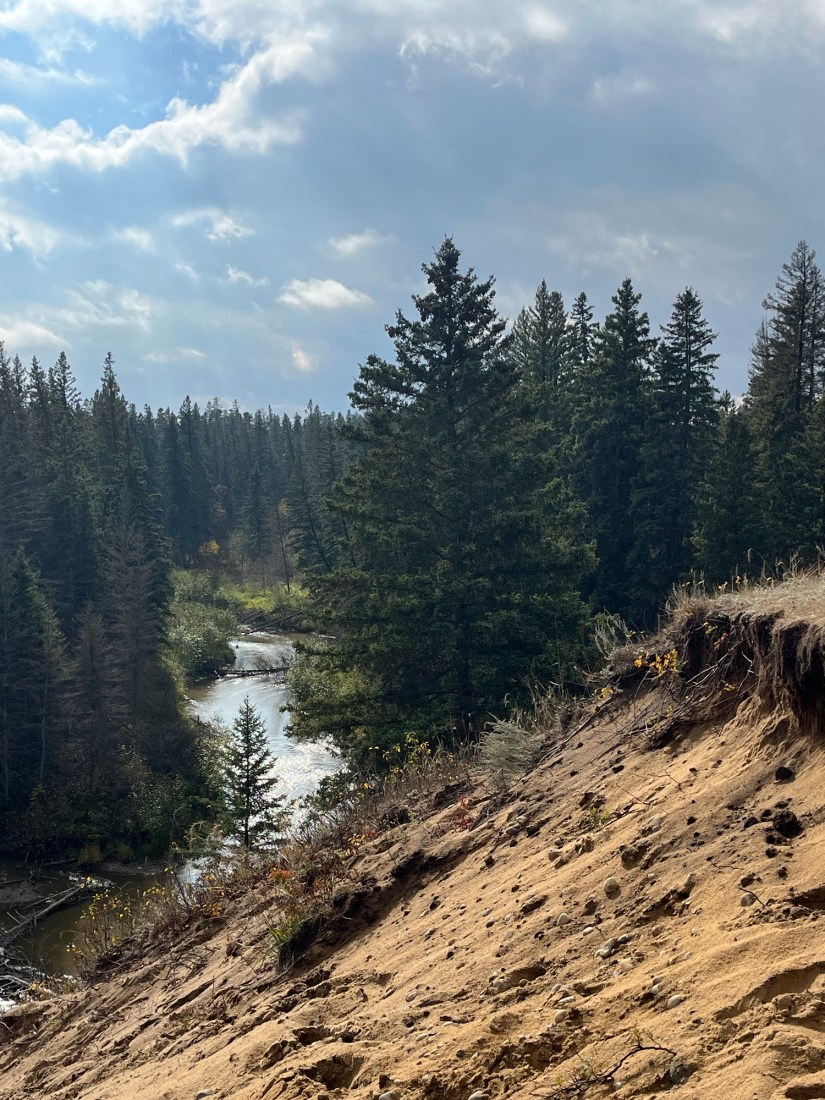 What is Forest&nbsp;Therapy