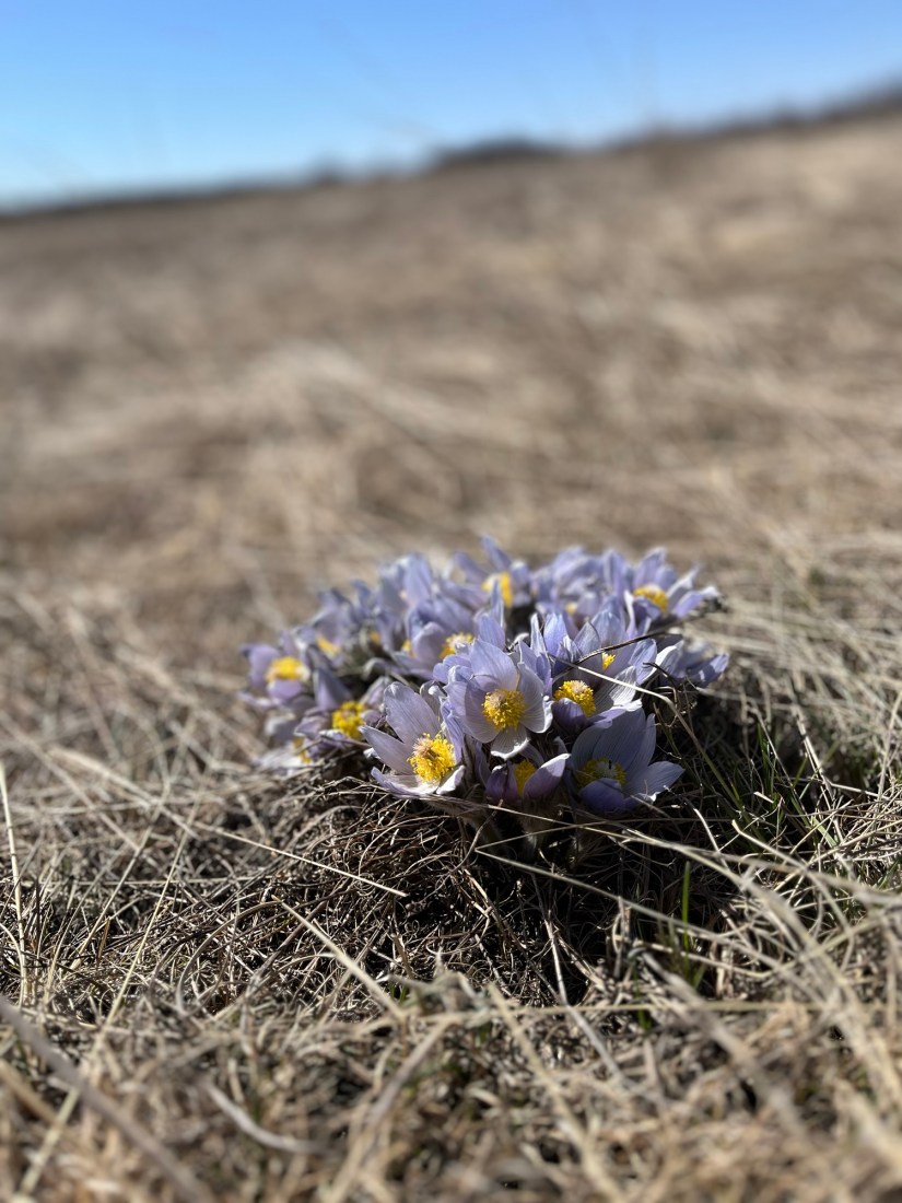 Transforming Obligation Exhaustion into Obligation&nbsp;Anticipation