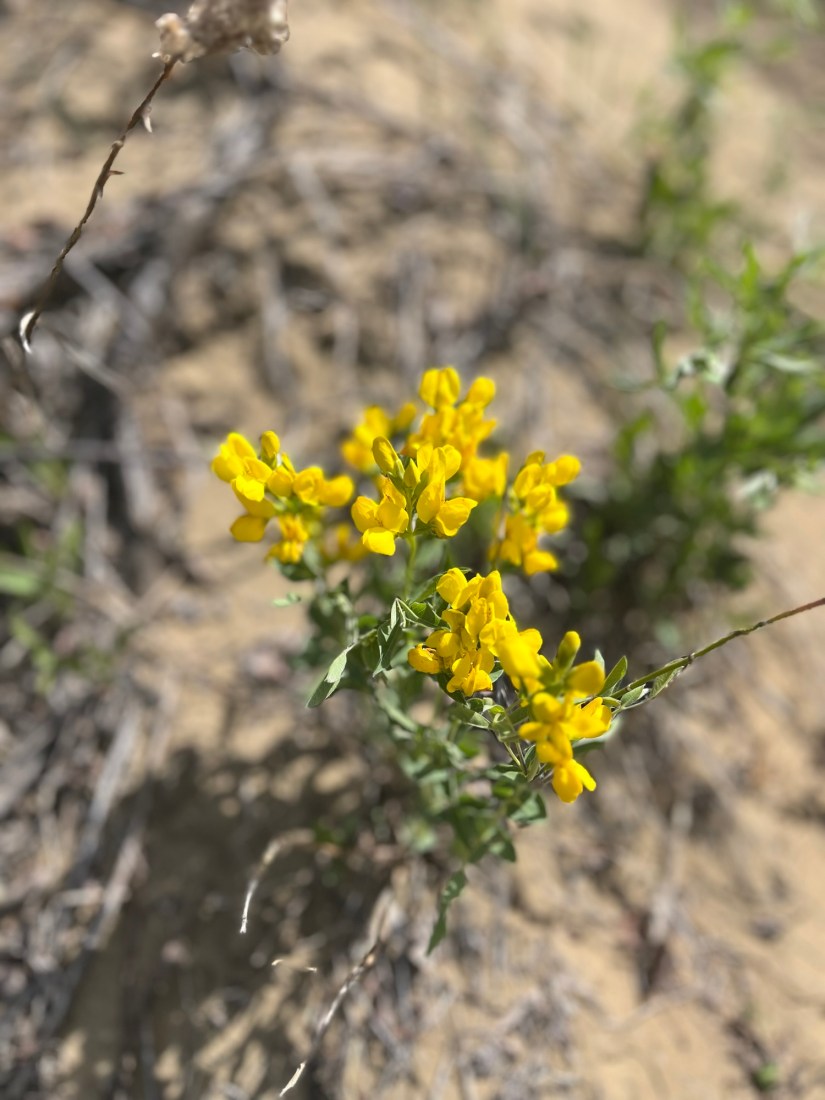 Seeing Beyond: The Connection Between Nature and&nbsp;Self