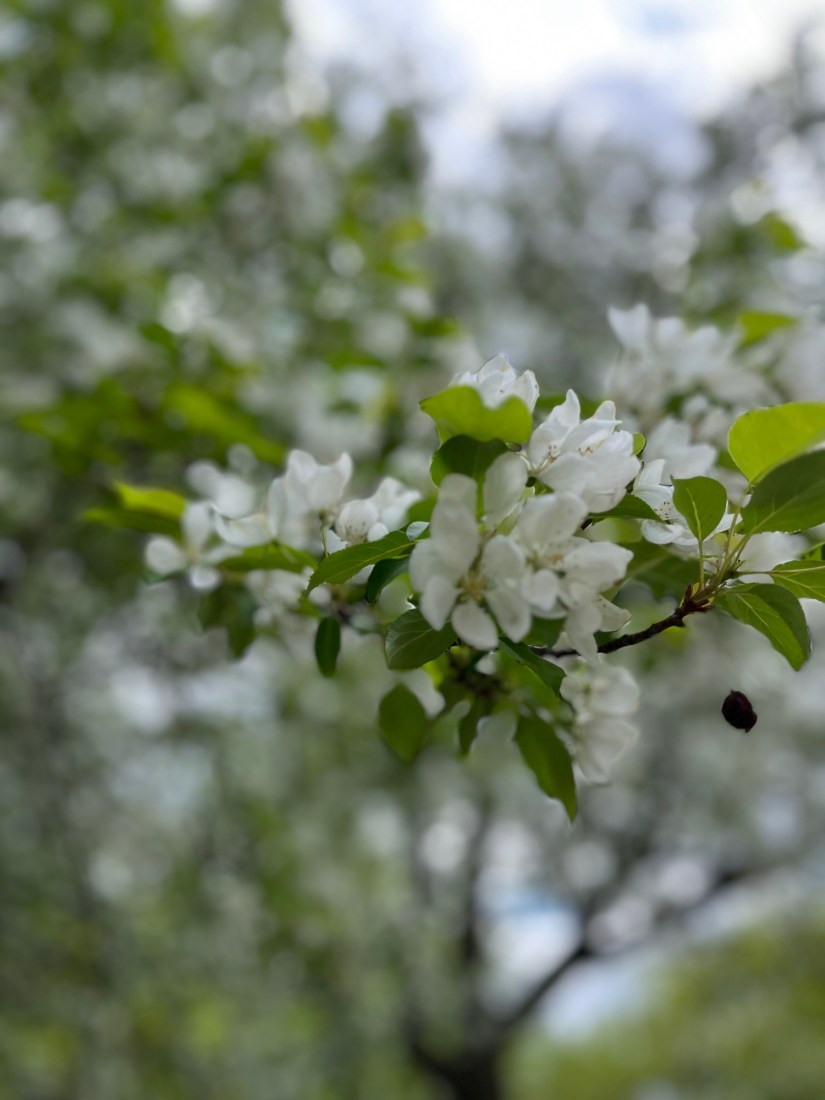 How to Be a Better Ally for Chronic Pain&nbsp;Sufferers