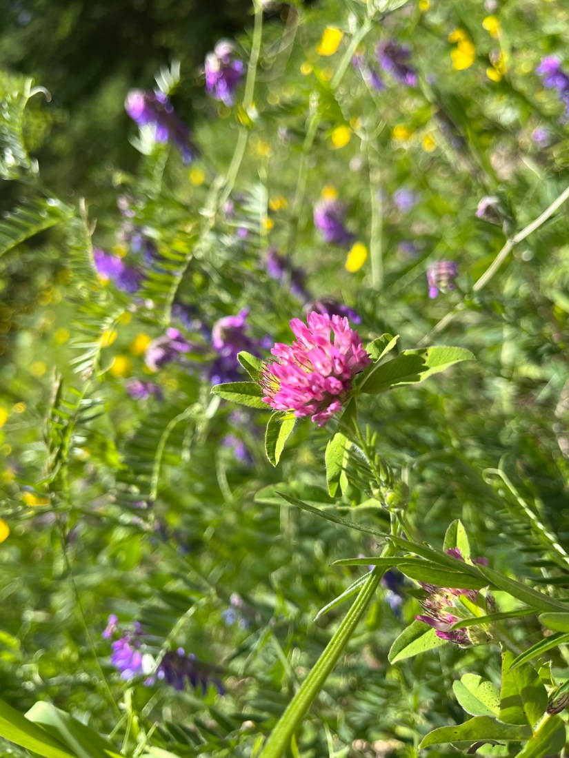 Hypermobility and Its Impact on Mental&nbsp;Health