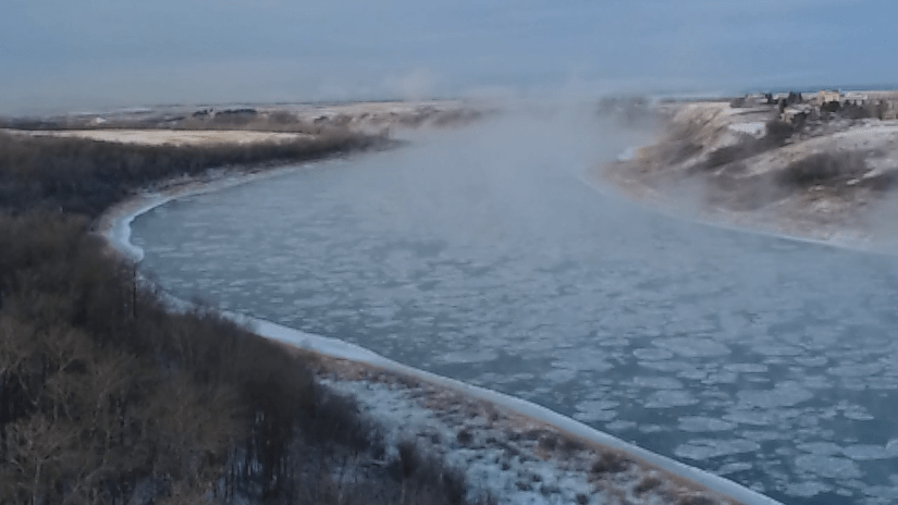 Harnessing Nature’s Power Through Forest Therapy