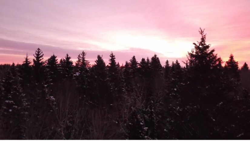 Embracing Presence: The Passage Towards Healing Together