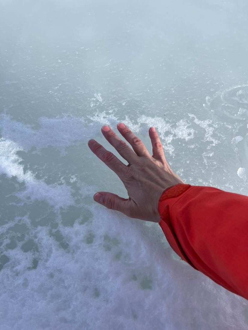 Why Winter Trails are Terrifying For the Hypermobile: Through Pain and&nbsp;Pines