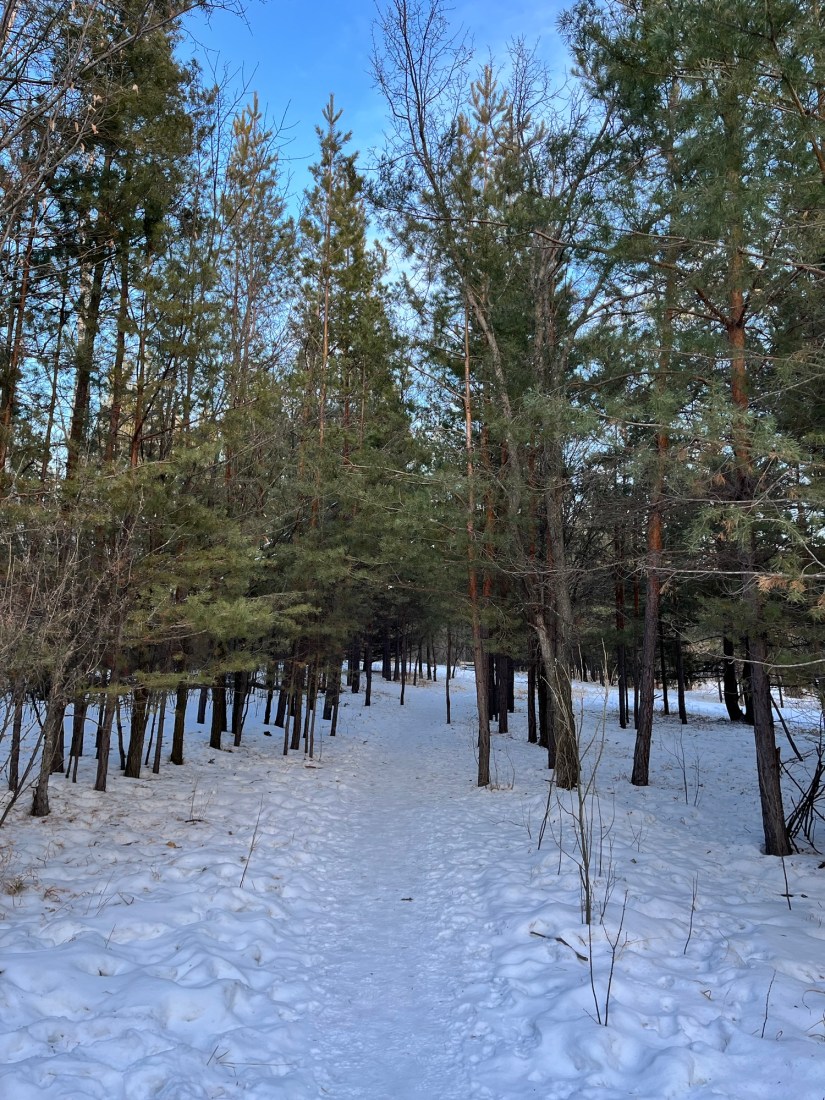 Accessing Strength in Nature and Family: Winter&nbsp;Healing