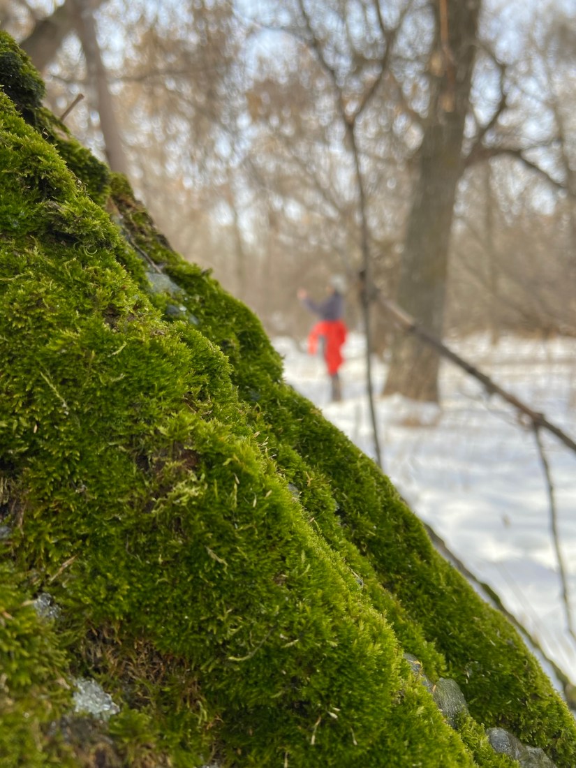 The Influence of Non-Judgmental Awareness: Mending the Nervous&nbsp;System