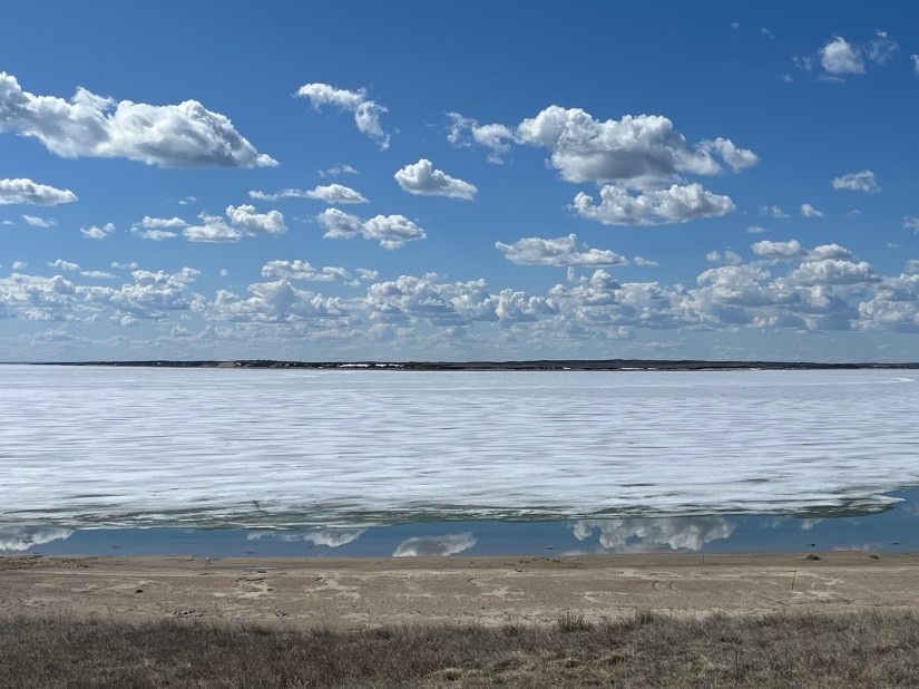 Early Spring Musings: Reflections and&nbsp;Ruminations