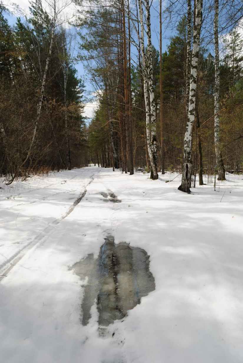 Discerning What’s Beneath the Frosty Surface: Setbacks or Breakthroughs