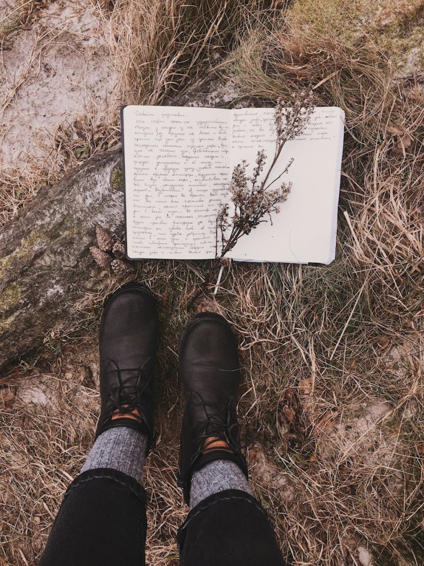 Feeling It All: Big Emotions, Chronic Pain, and Finding Your Ground in the Forest