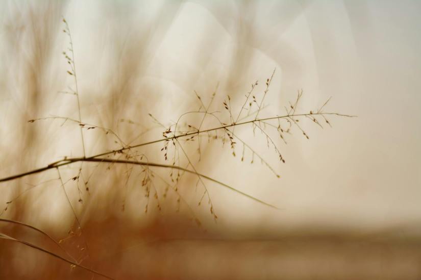 Gentle Consistency: Secrets to a Hopeful Mindset with Chronic Conditions