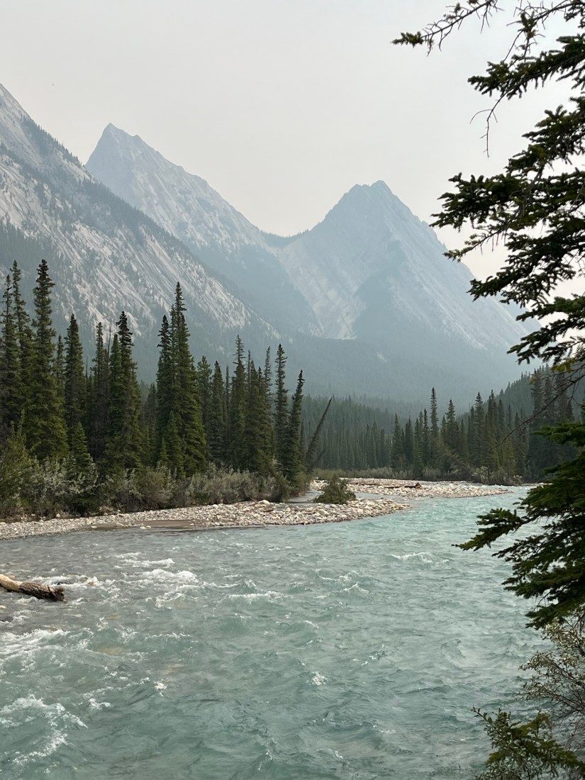 Lessons From the&nbsp;Trail